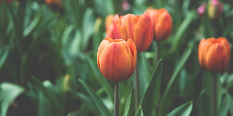 攻克5G通信设备硬件开发三大技术挑战：深圳伟邦的深度解决方案