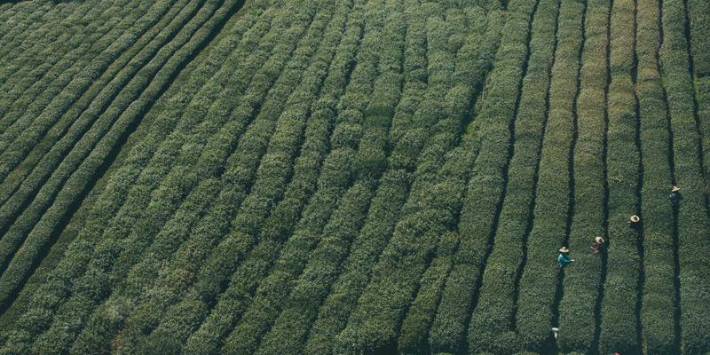 电源完整性设计进阶：从板级去耦电容到芯片级封装（SiP）的协同优化策略