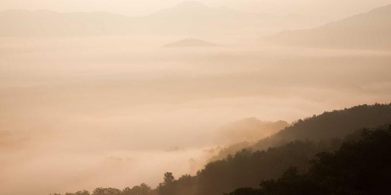 硬件安全不容忽视：从TPM到安全MCU，元器件级防护策略全解析 | 深圳伟邦